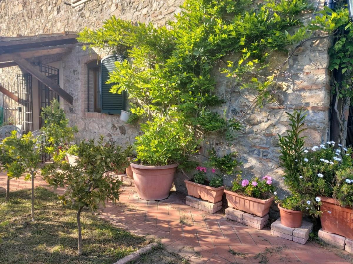 Tenuta Santa Maria Villa Campagnatico Exterior photo