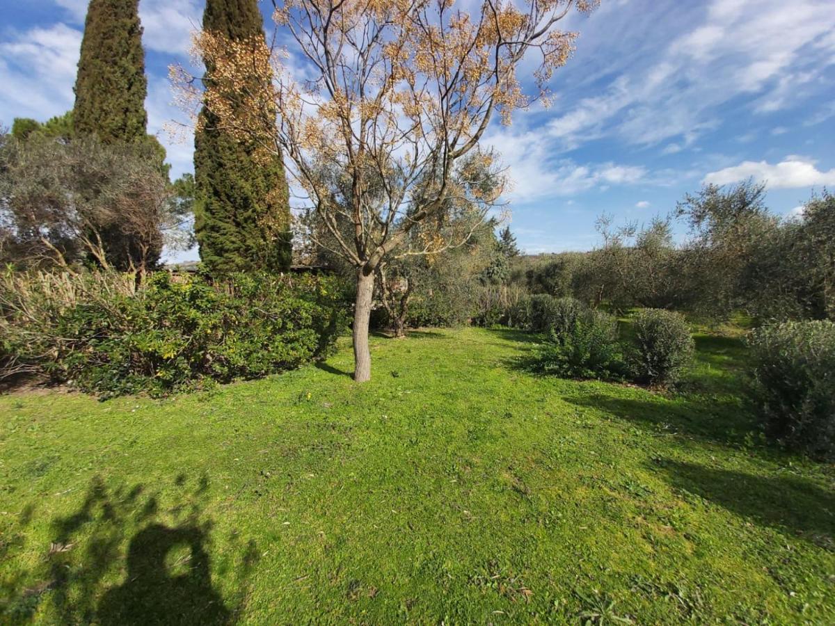 Tenuta Santa Maria Villa Campagnatico Exterior photo